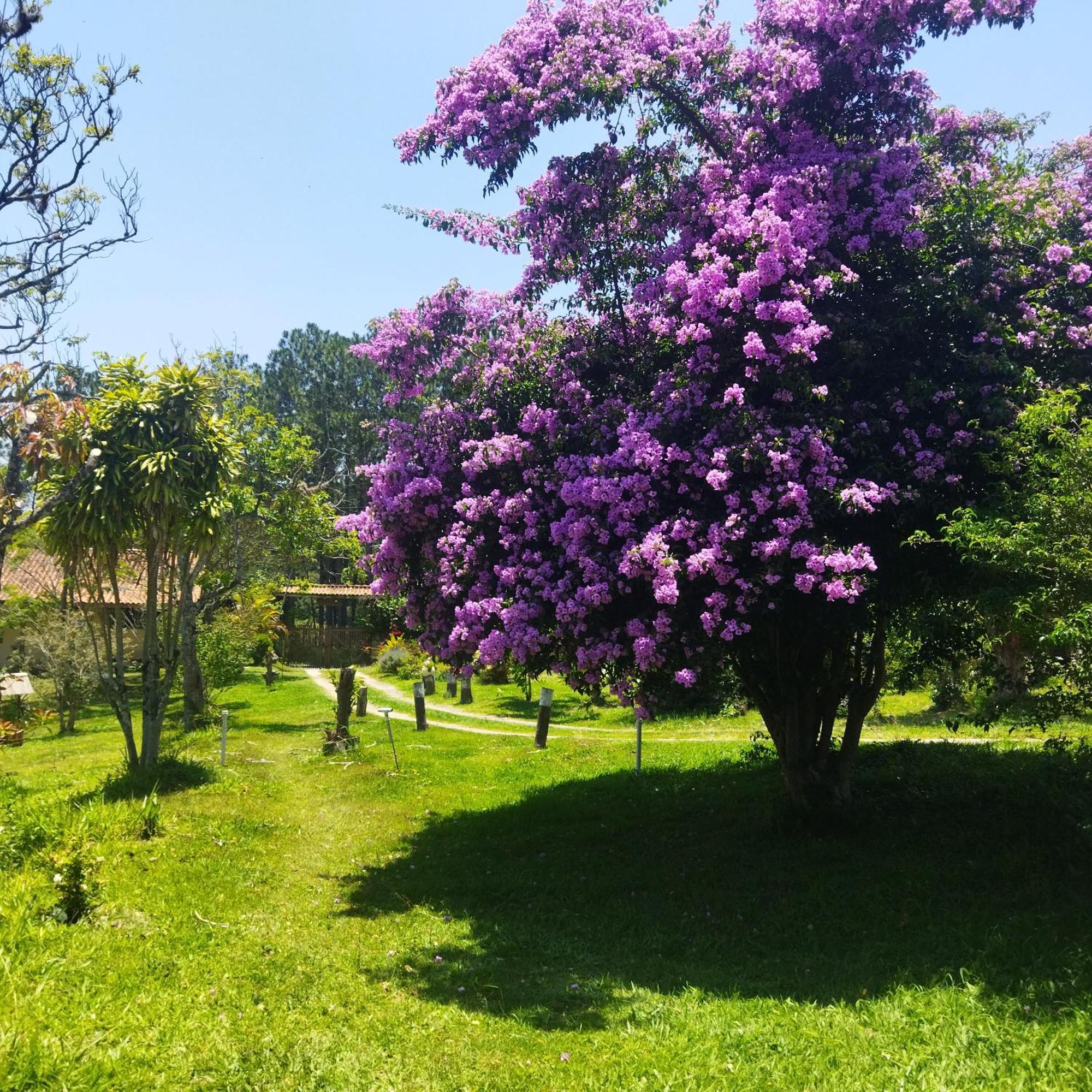 Chácara Áquila São Roque Exterior foto